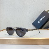 Chan sunglasses replica CH0539