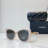 Replica Chan sunglasses CH7982