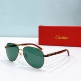 Sunglasses designer Cartier Replica CT0491