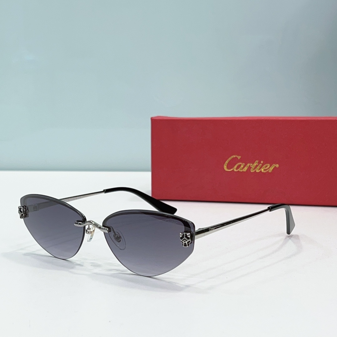 Cartier Sunglasses Dupe CT0431S - grey Cartier Sunglasses Dupe CT0431S - grey