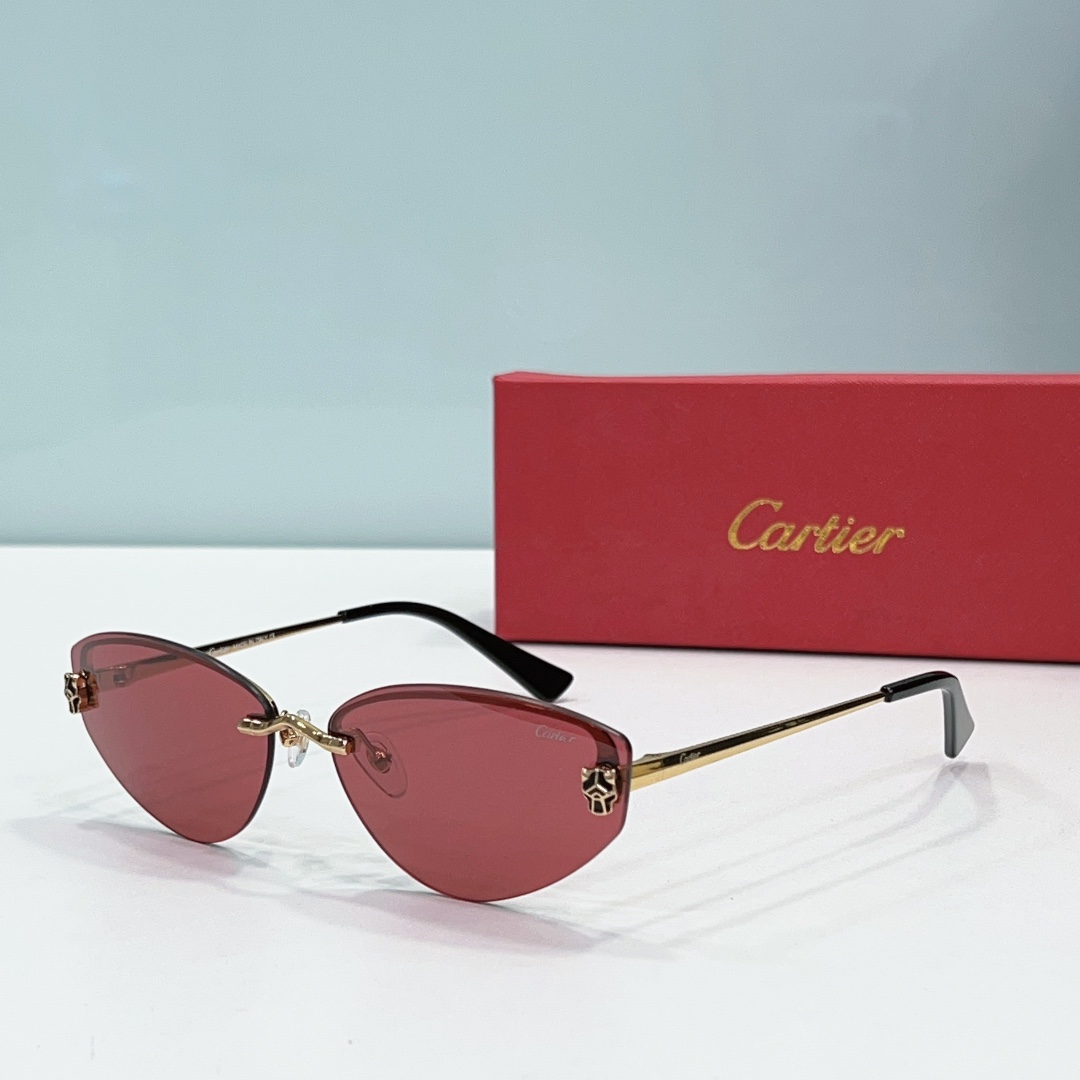 Cartier Sunglasses Dupe CT0431S - red