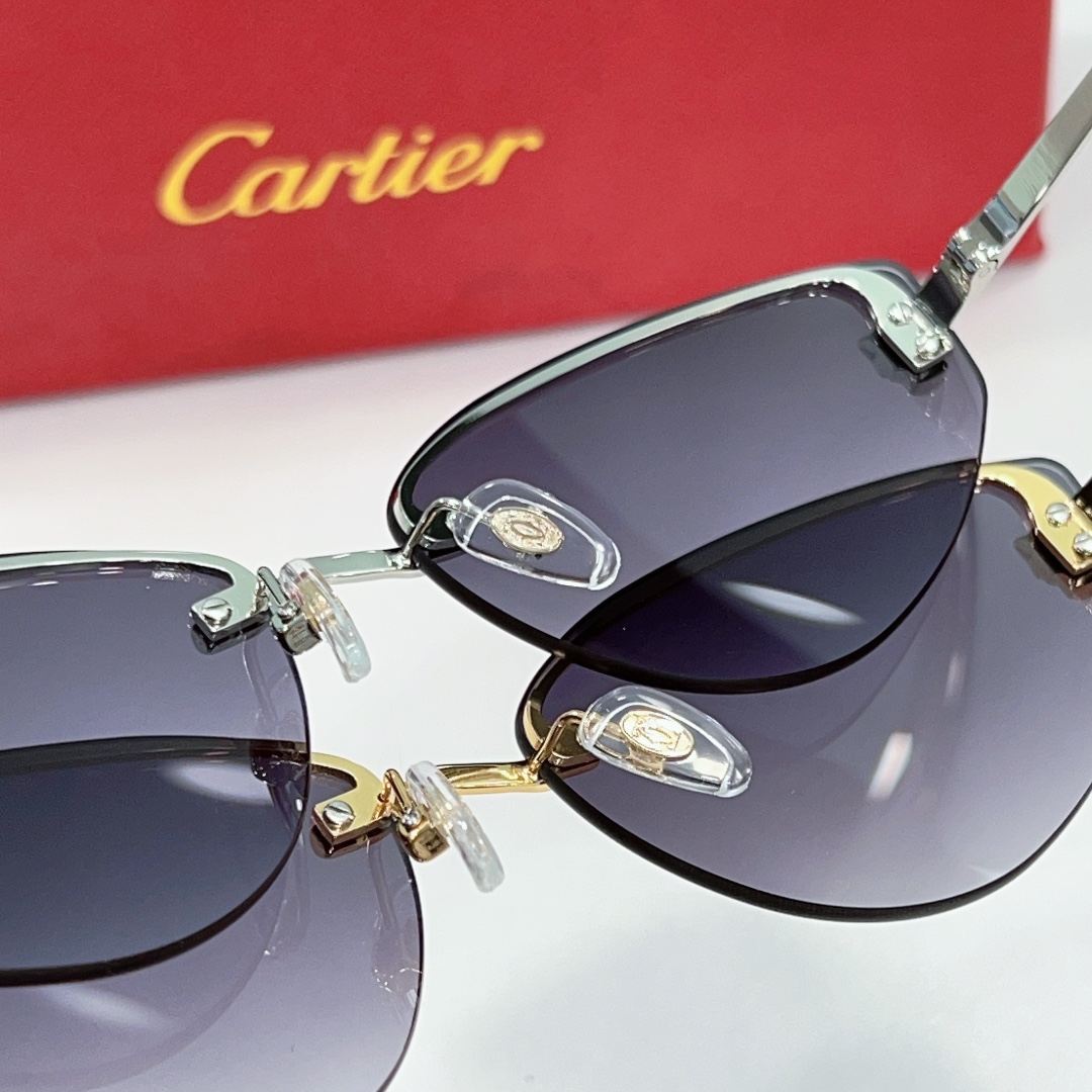 Cartier Sunglasses Dupe CT0431S - inside Cartier Sunglasses Dupe CT0431S - inside