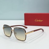 Cartier Sunglasses Faux ct0993