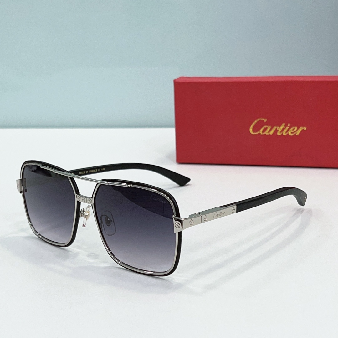 Cartier Sunglasses Faux ct0993 - black silver