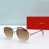 Cartier Sunglasses Dupe ct0394s