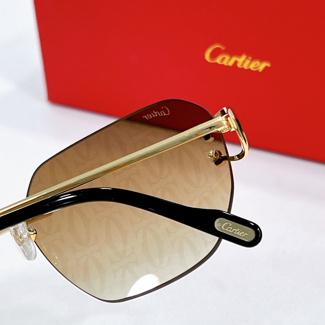 Cartier Sunglasses Dupe ct0394s - back