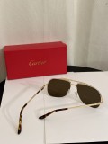 Cartier knockoff sunglasses ct0353s