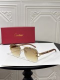 Cartier Fake Designer Shades ct0383
