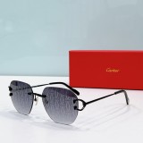 Cartier Sunglasses Dupe ct0394s
