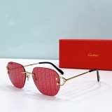 Cartier Sunglasses Dupe ct0394s