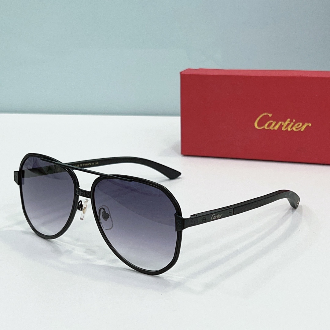 Faux Cartier Sunglasses ct0992- gun