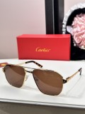 Cartier Sunglasses Dupe ct0424s