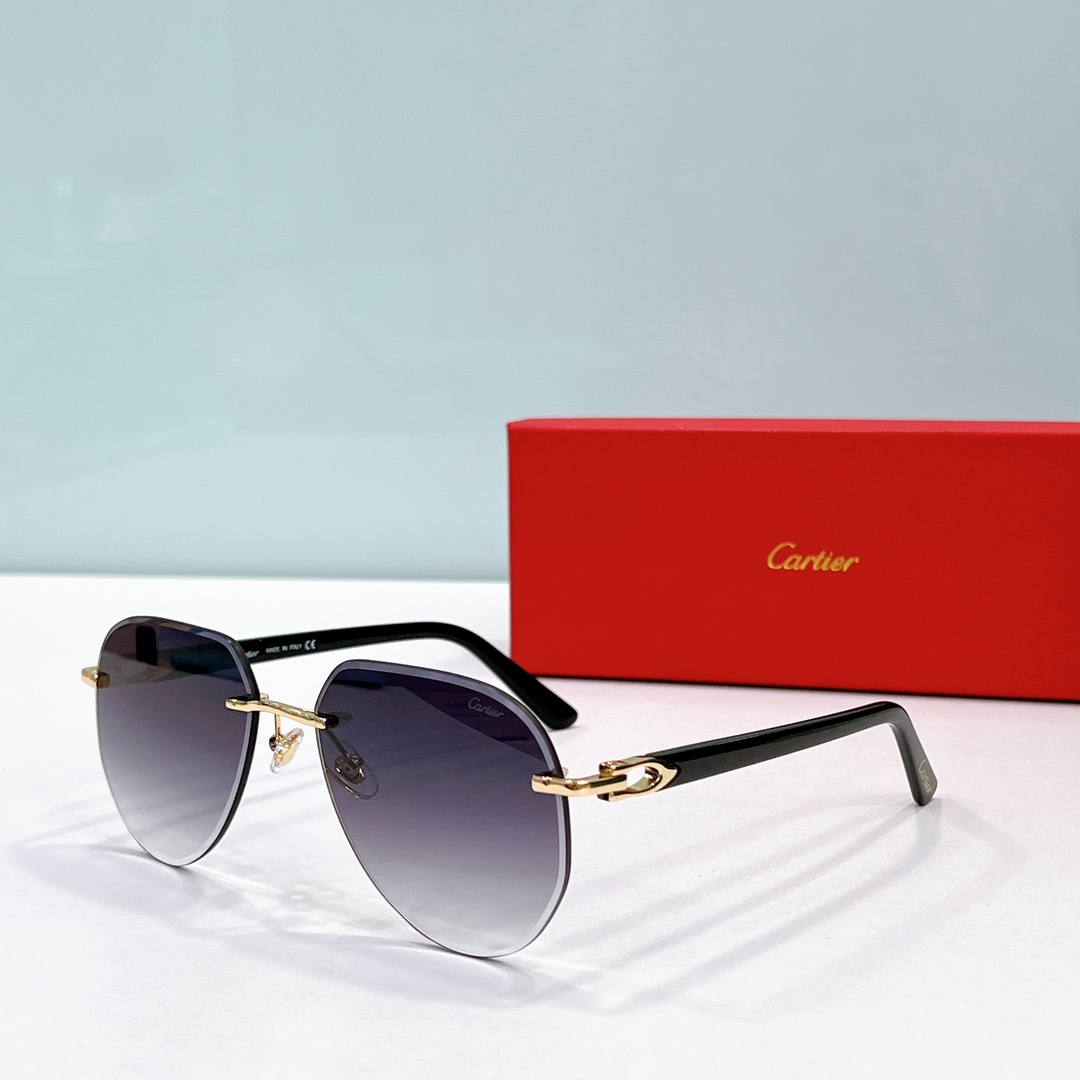 Cartier Sunglasses Dupe ct0440s - c4
