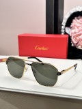 Cartier Sunglasses Dupe ct0424s