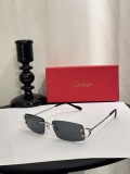 Faux Cartier Sunglasses ct0465s