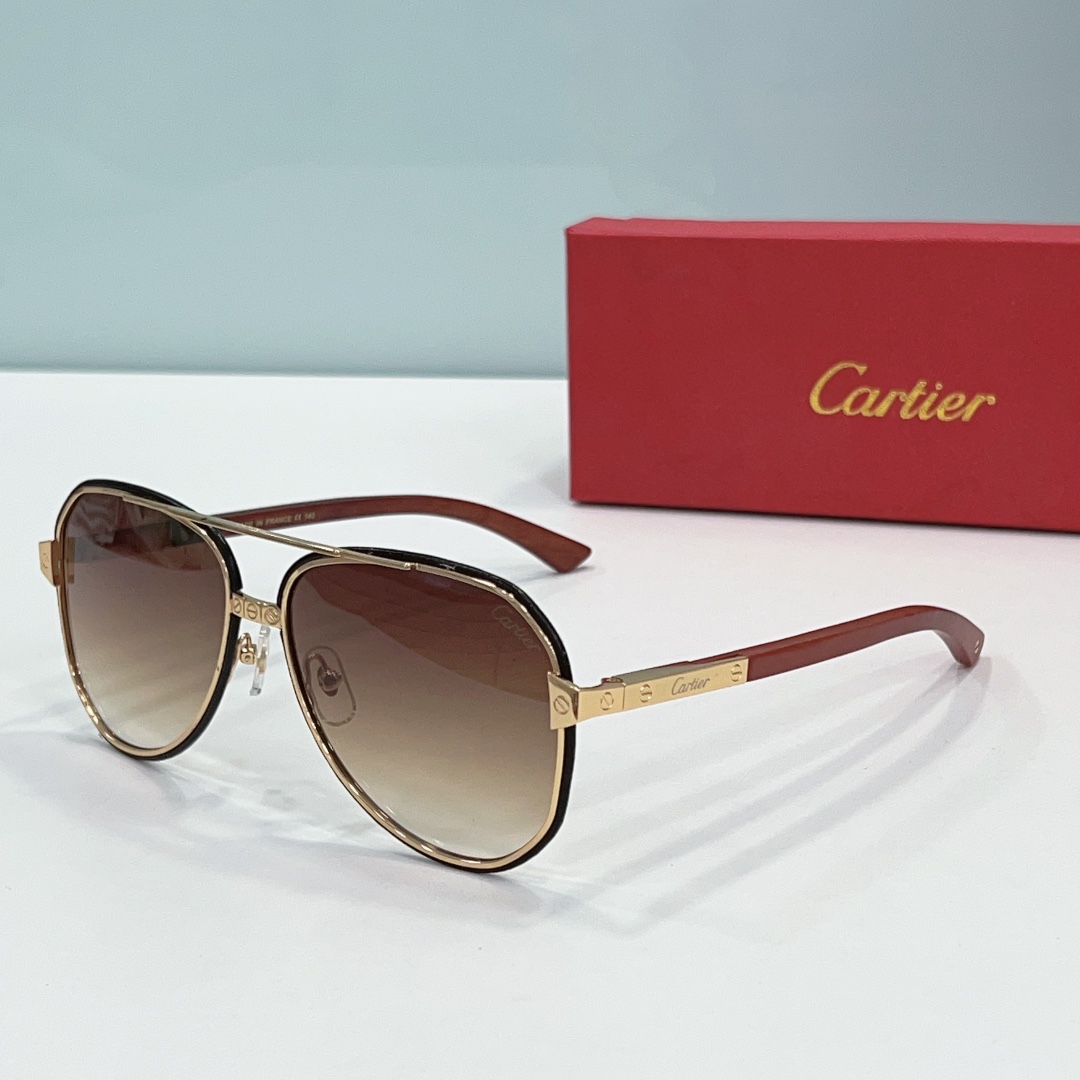 Faux Cartier Sunglasses ct0992 - c2