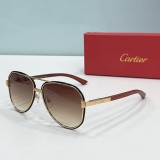 Faux Cartier Sunglasses ct0992