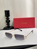 Faux Cartier Sunglasses ct0465s