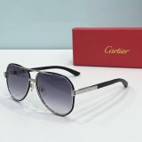 Faux Cartier Sunglasses ct0992