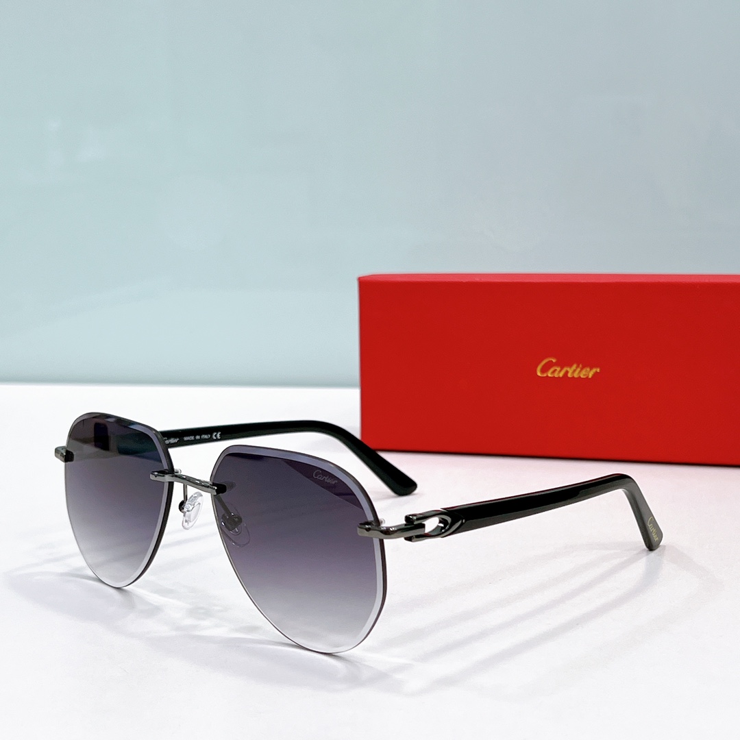 Cartier Sunglasses Dupe ct0440s - c2