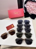 Cartier Sunglasses Dupe ct0424s