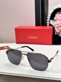 Cartier Sunglasses Dupe ct0424s