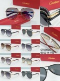 Faux Cartier Sunglasses ct0992