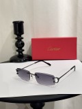 Faux Cartier Sunglasses ct0465s