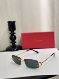 Faux Cartier Sunglasses ct0465s
