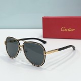 Faux Cartier Sunglasses ct0992