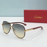 Faux Cartier Sunglasses ct0992