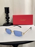 Faux Cartier Sunglasses ct0465s