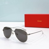 Replica cartier shades esw00559