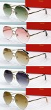 Cartier imposter sunglasses ct0355s