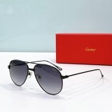 Replica cartier shades esw00559