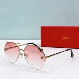 Cartier imposter sunglasses ct0355s