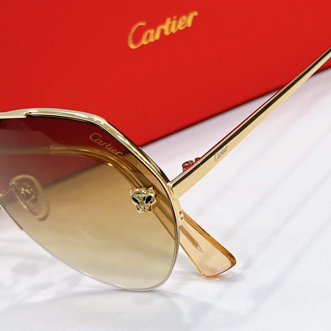 Cartier imposter sunglasses ct0355s- side