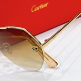 Cartier imposter sunglasses ct0355s