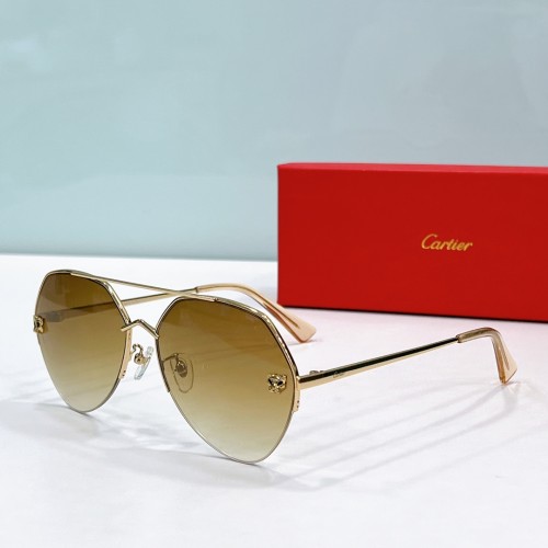 Cartier imposter sunglasses ct0355s