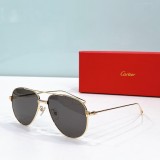 Replica cartier shades esw00559