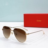 Replica cartier shades esw00559
