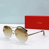Cartier imposter sunglasses ct0355s