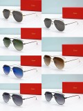 Replica cartier shades esw00559