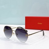 Cartier imposter sunglasses ct0355s