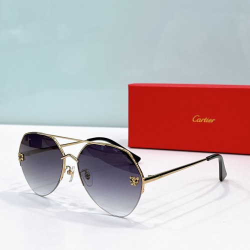 Cartier imposter sunglasses ct0355s