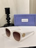 Gucci replica designer shades gg1407s