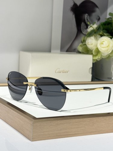 cartier CT0254O best sunglasses