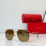 cartier CT0333S replica glasses