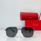 cartier CT0333S replica glasses