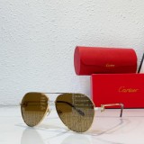 non polarized sunglasses cartier CT0334S